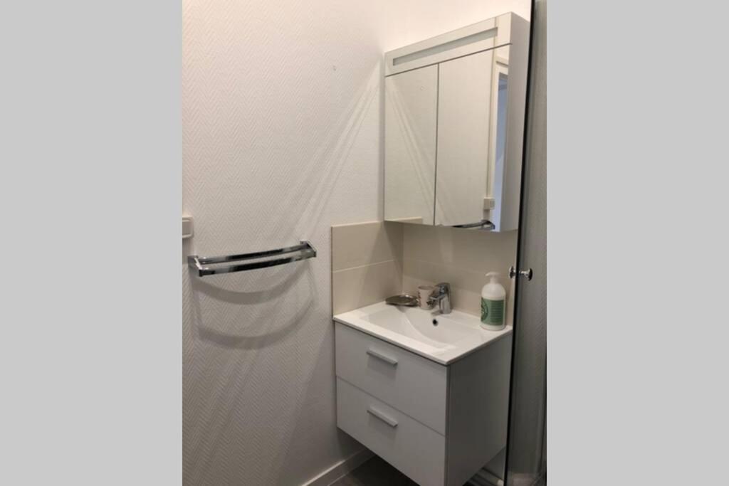 Villa Camelia Quartier Thermal Grand Studio Au Calme 维琪 外观 照片