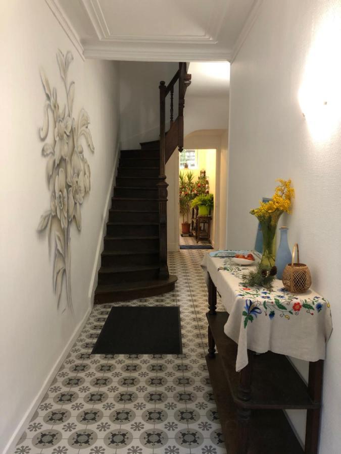 Villa Camelia Quartier Thermal Grand Studio Au Calme 维琪 外观 照片
